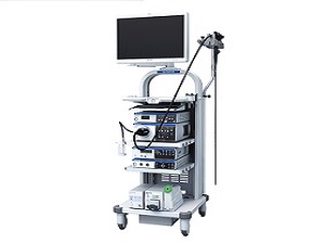 위, 대장 내시경