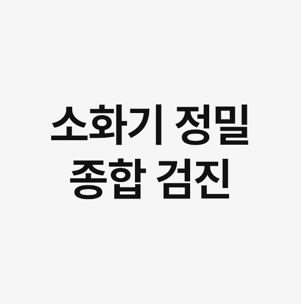소화기 정밀 종합