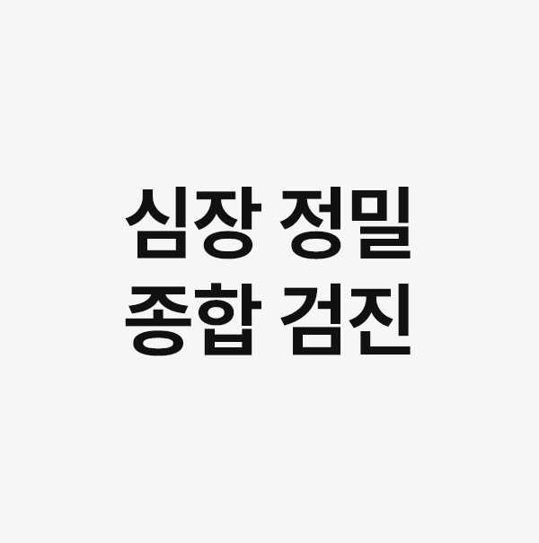 심장 정밀 종합