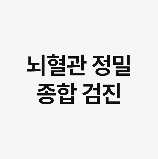 뇌혈관 정밀 종합
