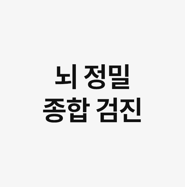 뇌 정밀 종합