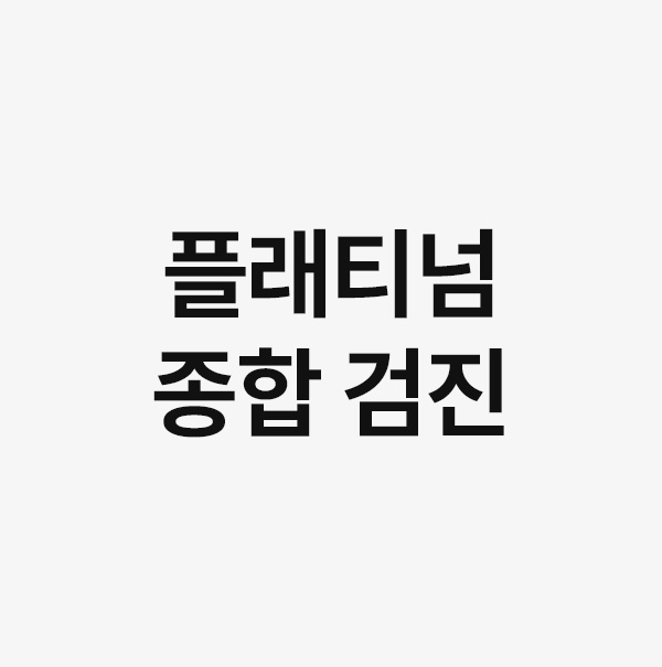 플래티넘 종합